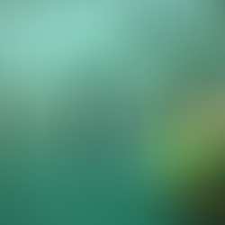 BOURNSIDE OPEN MORNING