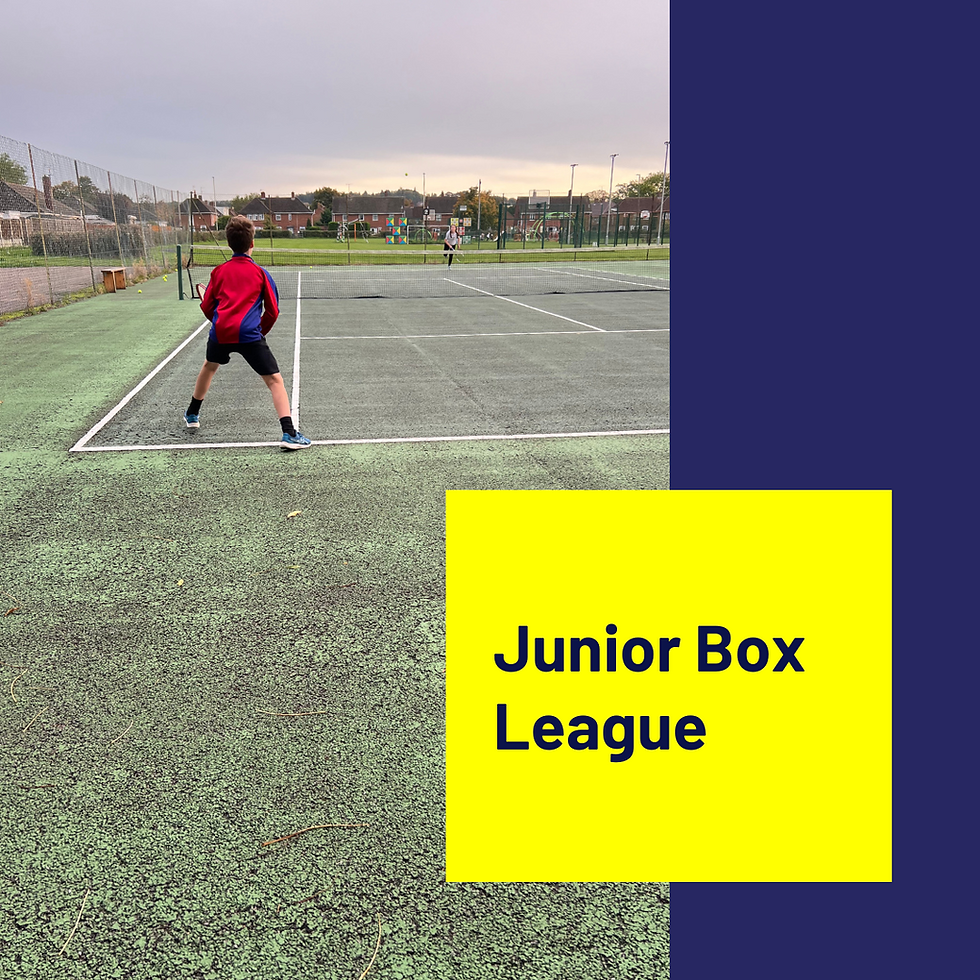 Youth Box Leagues