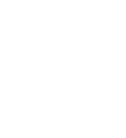 N2S 2025 WHITE LOGO.png