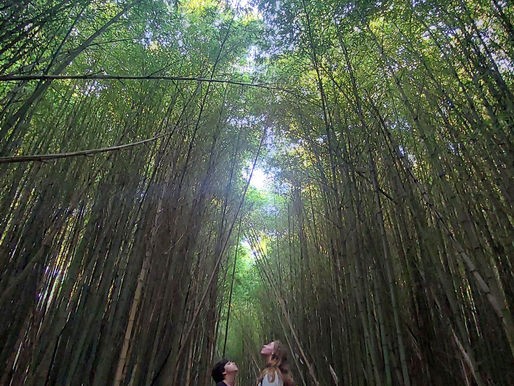 Estancia La Candelaria (parte II)