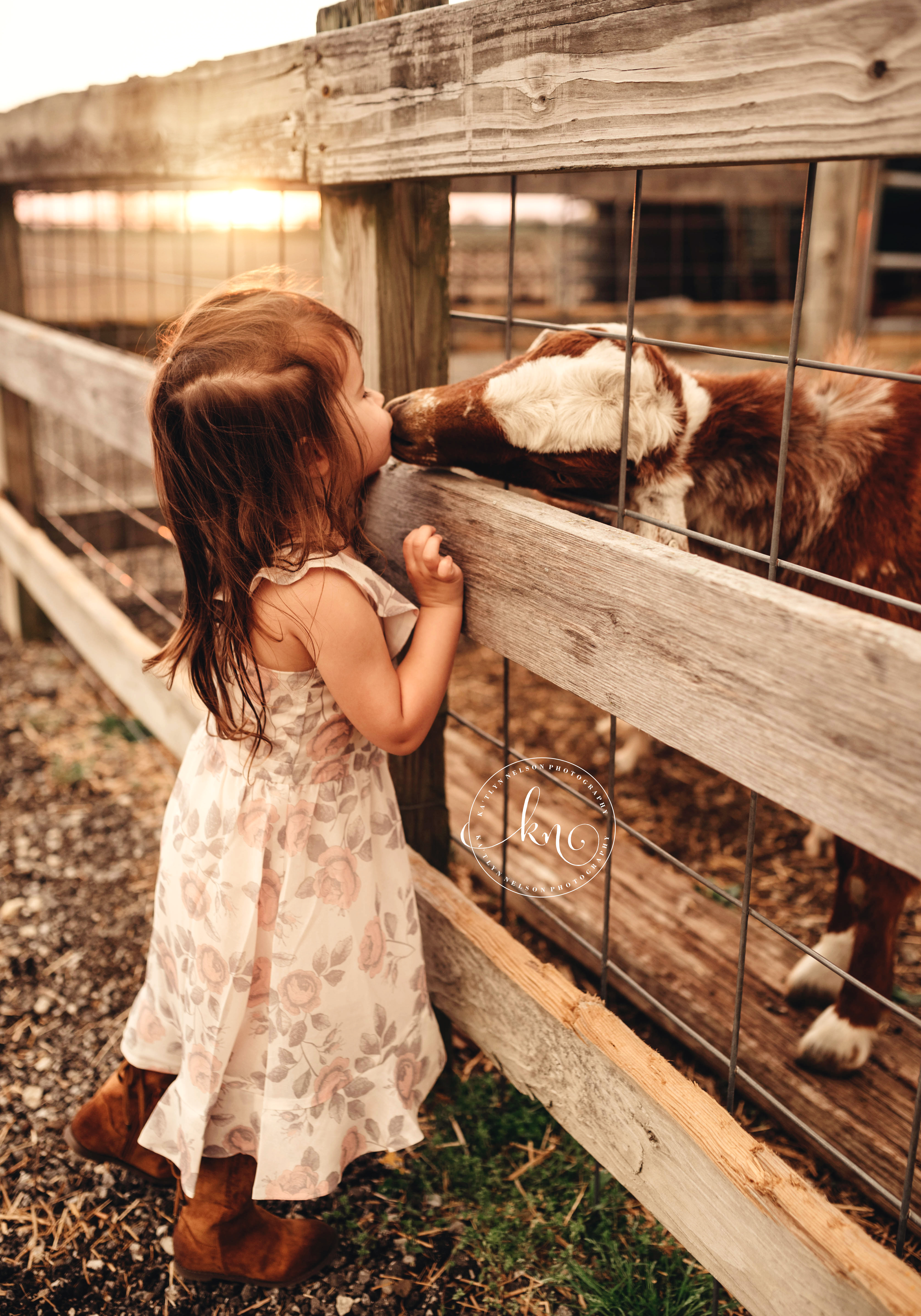Raw Reed Farm Nubians United States