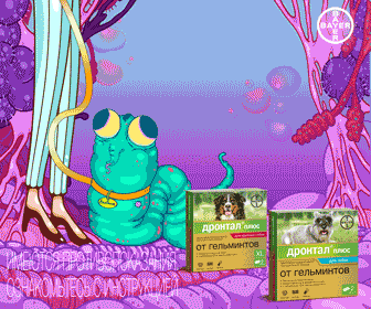 Разработка анимационных рекламных баннеров