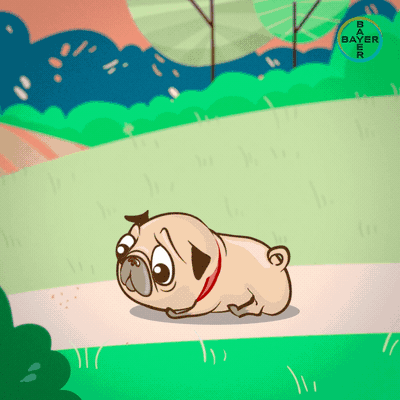 Разработка анимационных рекламных баннеров