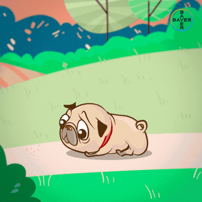 Разработка анимационных рекламных баннеров