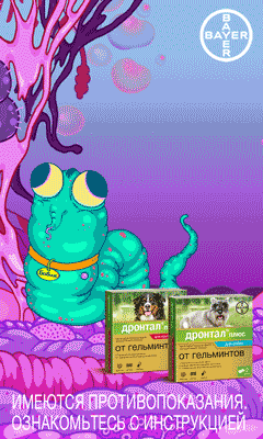 Разработка анимационных рекламных баннеров MyTarget