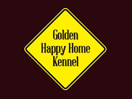 Golden Happy Home Kennel