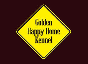Golden Happy Home Kennel
