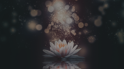 Website Stuff - TRAUMRAUM 26.png