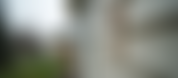 Protecting Your Home: Weststar Wall Systems Expert Woodpecker Coating Solutions in Calgary