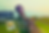 IMG_5019.PNG