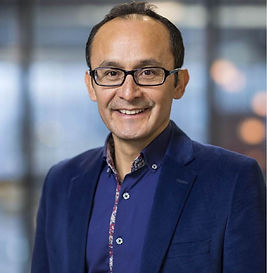 Prof.dr.ir Idelfonso Tafur Monroy