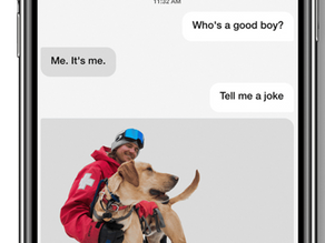 Real-Time Guest Interaction: AI-Powered Chatbots at Snowbird Ski Resort