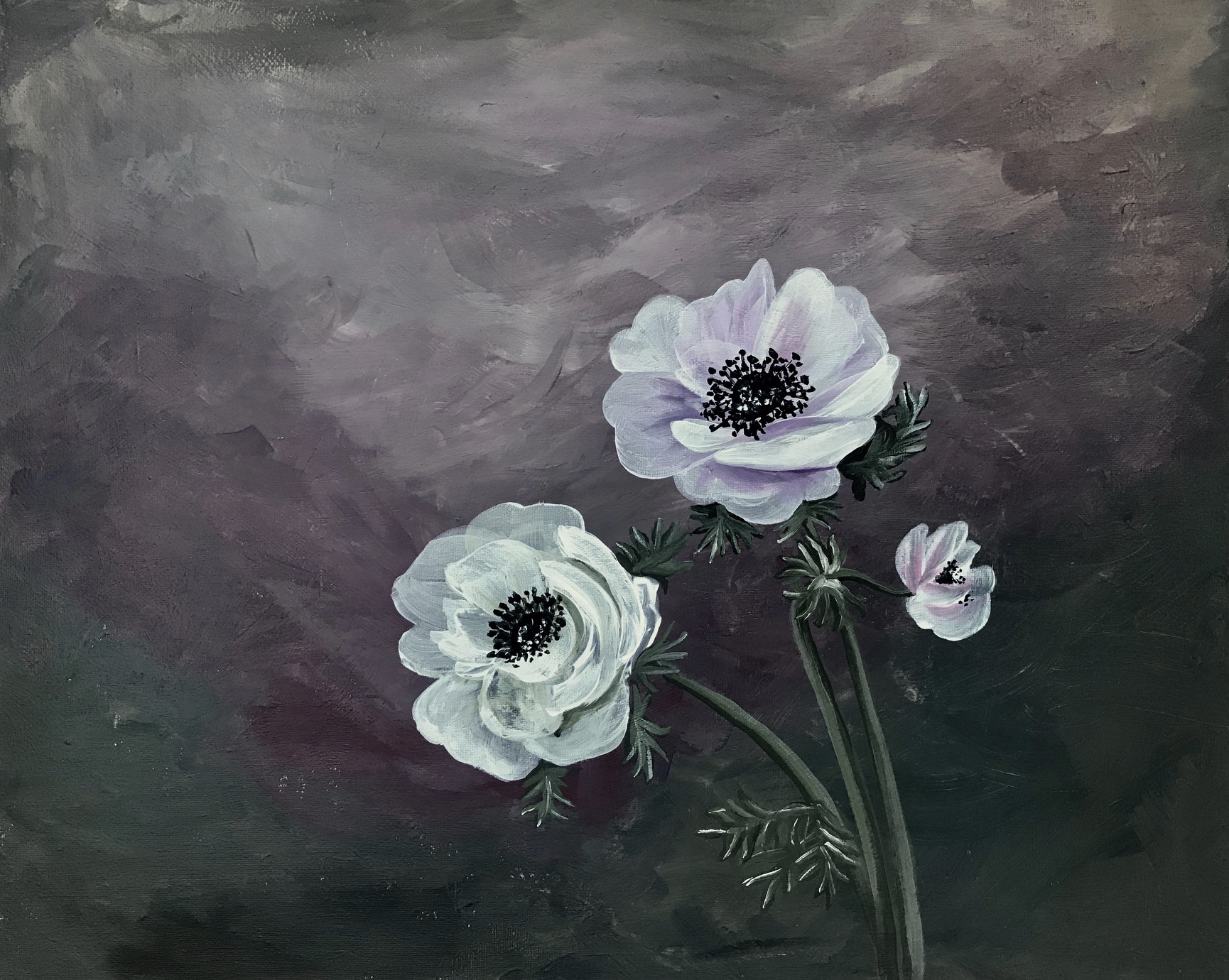 Moody_Anemones