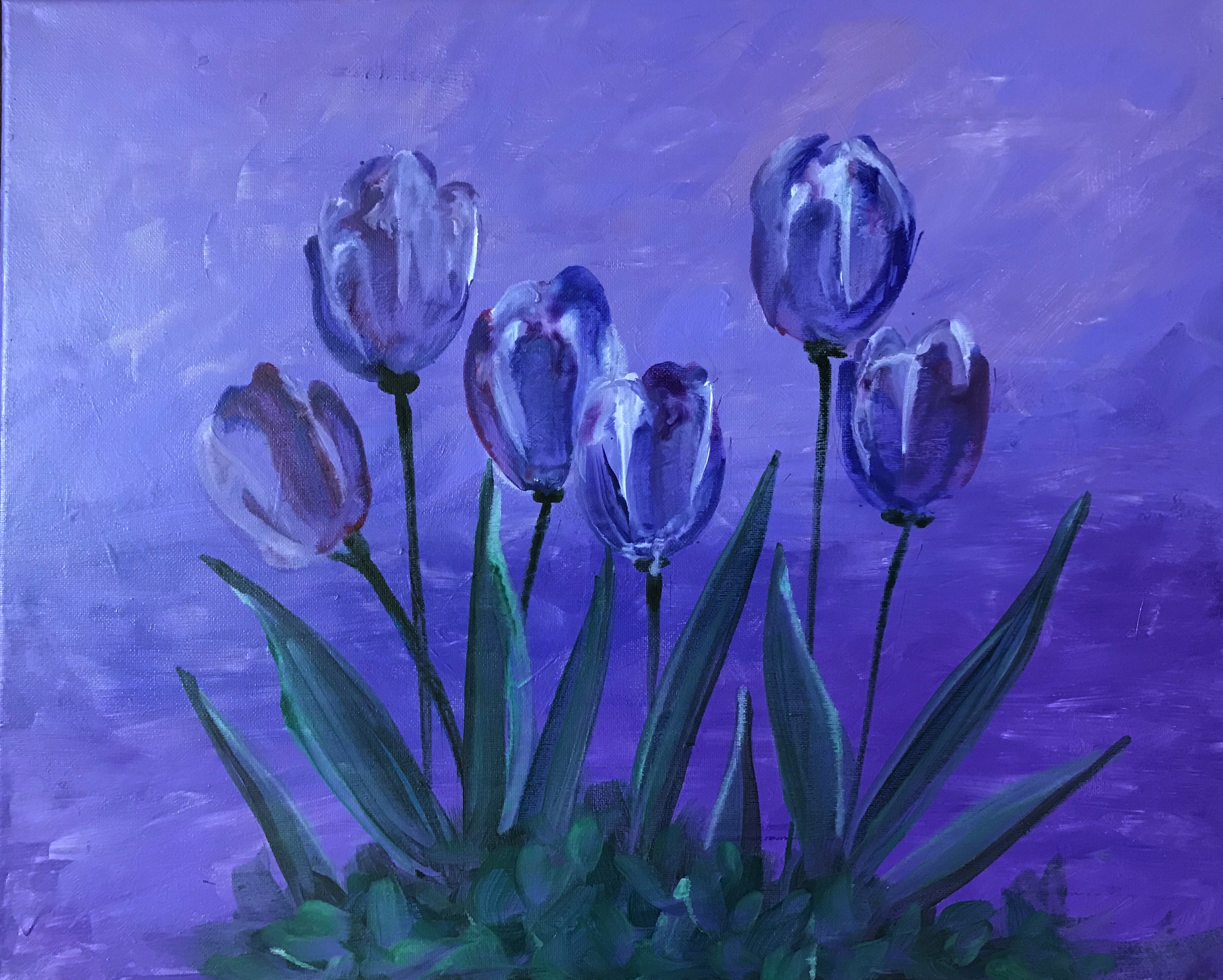 Midnight_Purple_Tulips