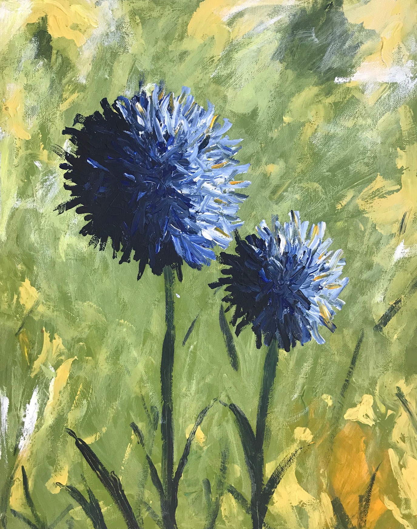 Blue_Allium_Flowers
