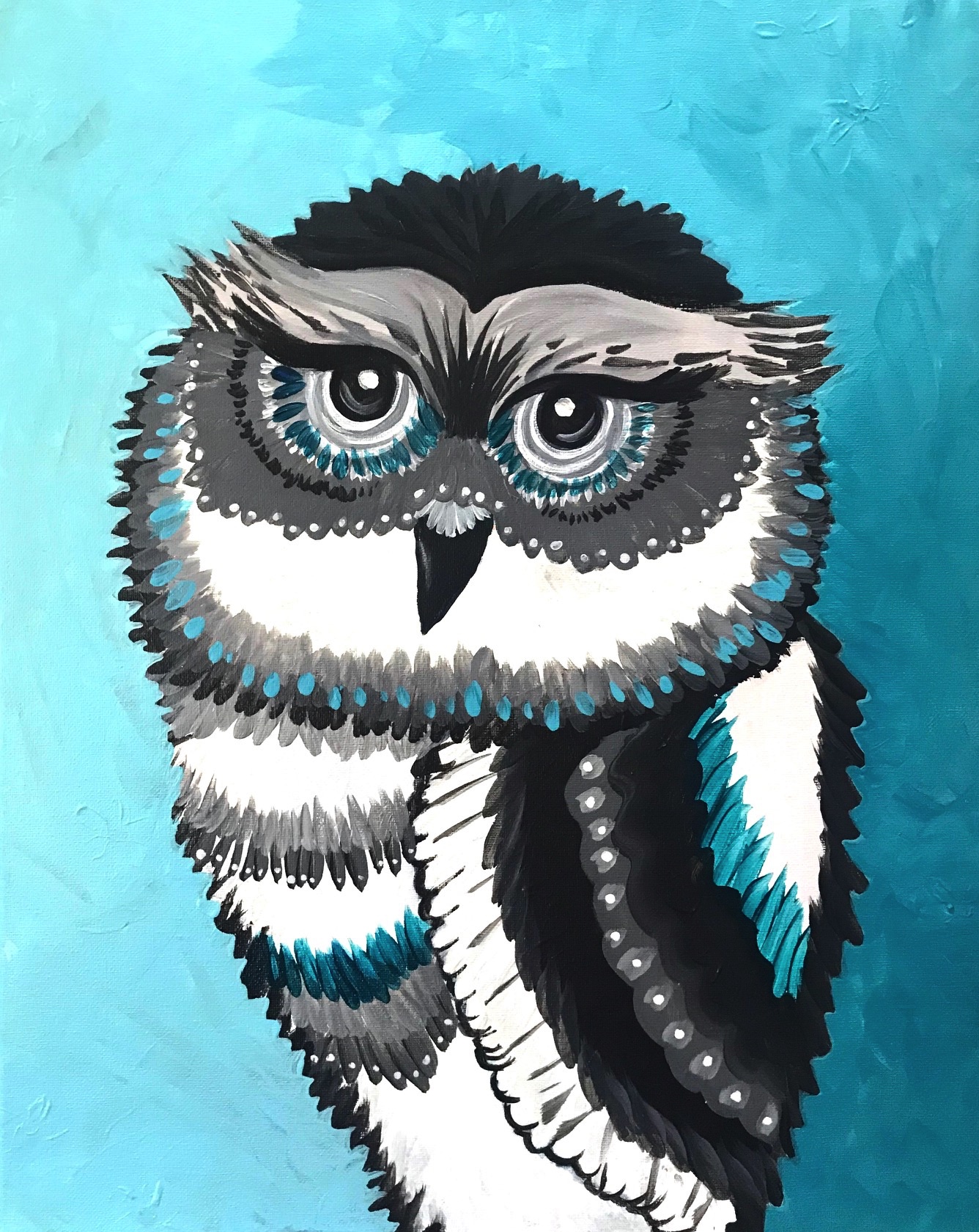 Wild_Black_and_White_Owl