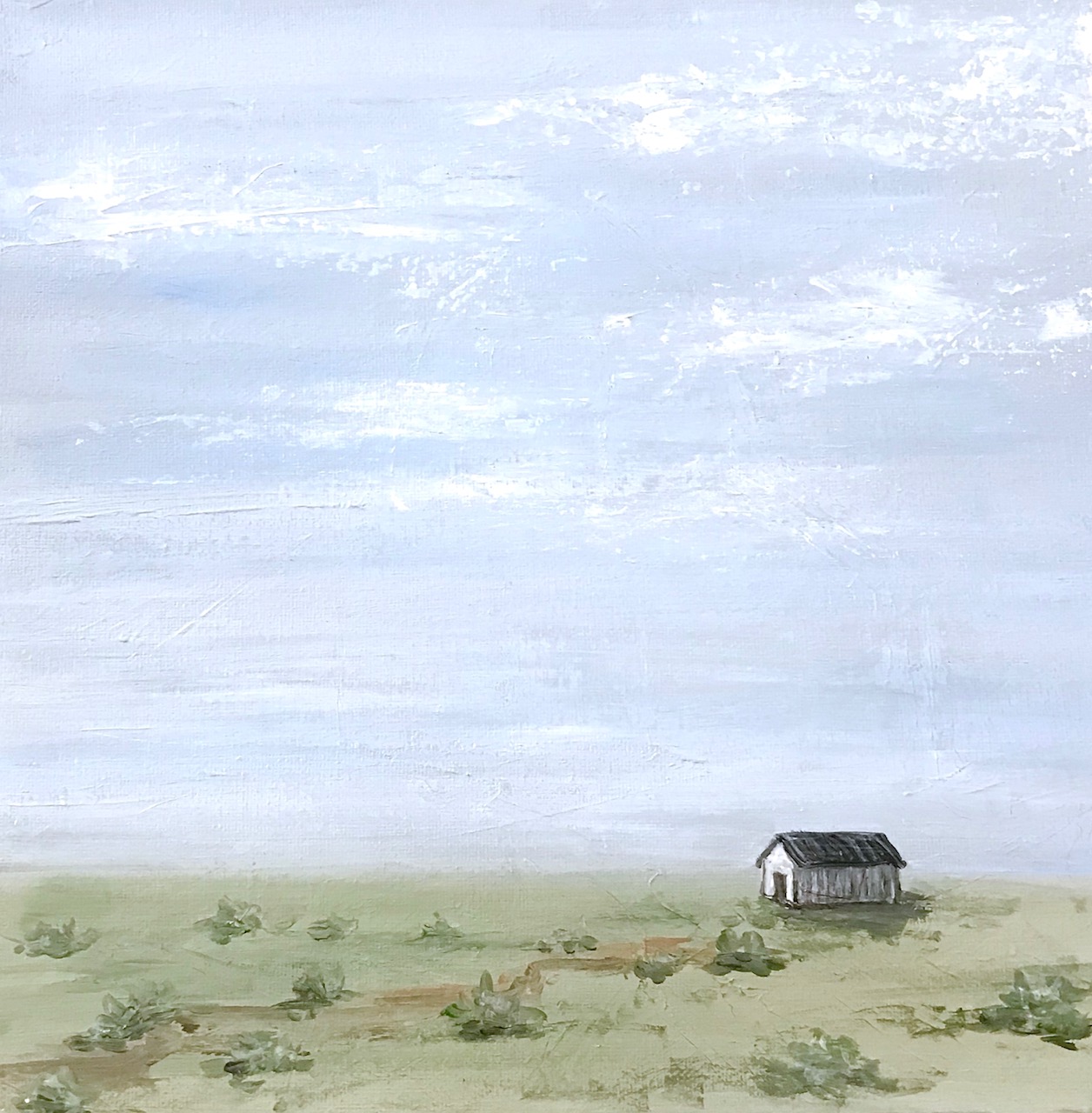 Middle_of_Nowhere_House