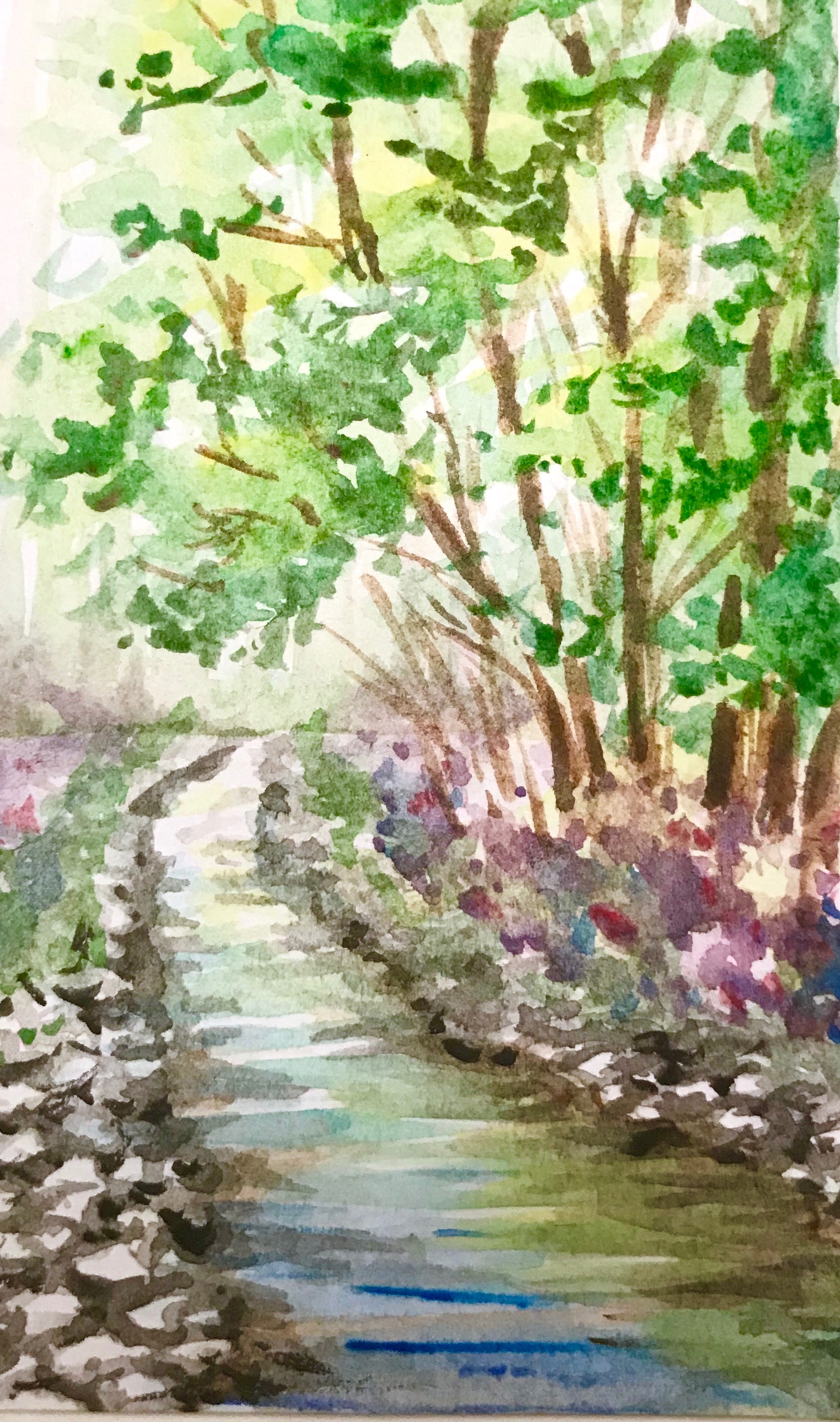 Watercolor_Wildflower_Stream