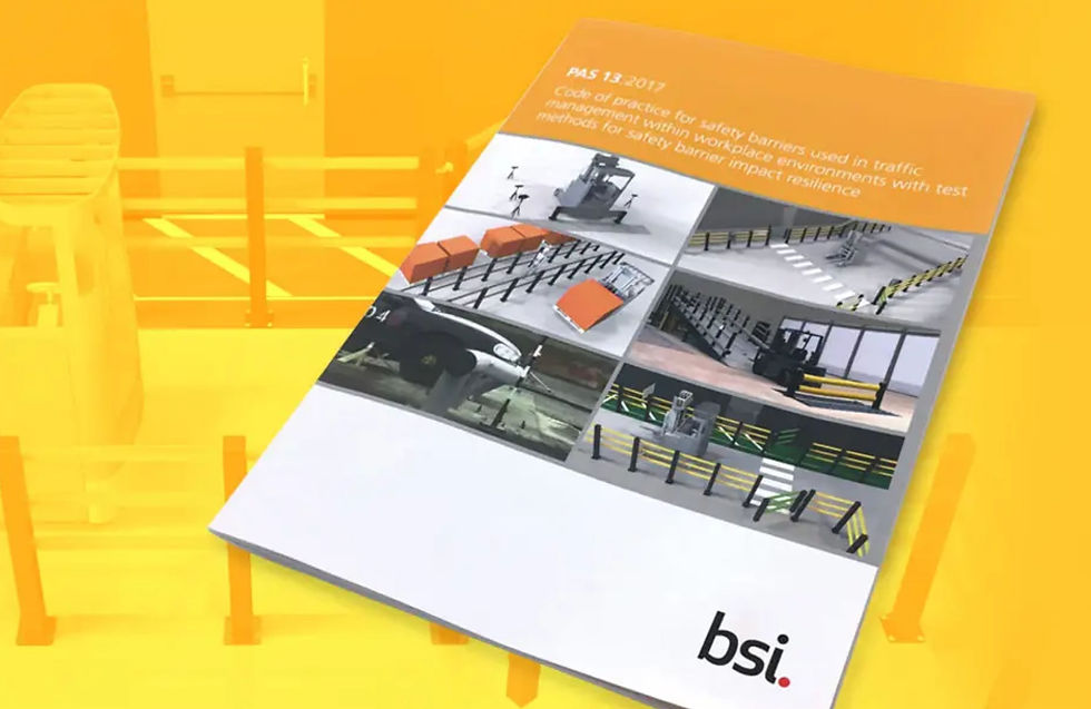 BSI PAS13 Standard Videos