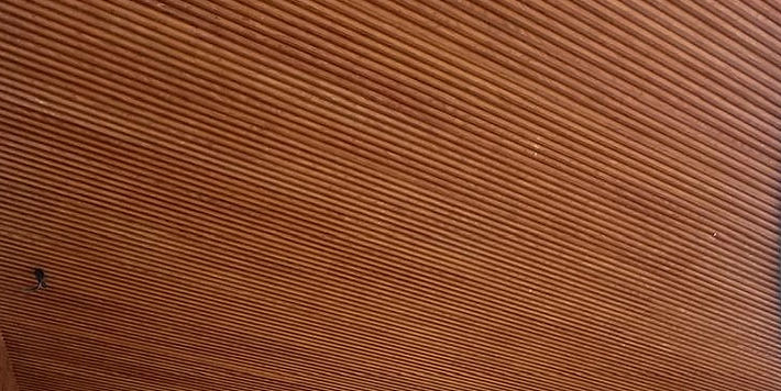 WhatsApp Image 2024-09-13 at 10.05_edited.jpg