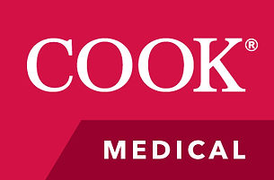 COOK logo - Hole in One.jpg