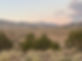 CBB5376E-09BC-486D-A9D6-F923410F0B14_1_105_c.jpeg