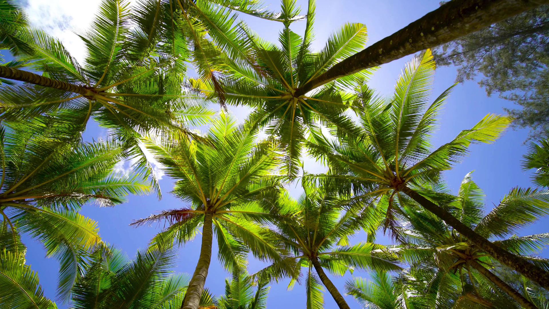 Craft Beer Adventure Costa Rica Brewventures