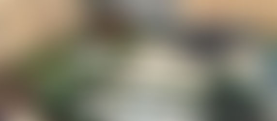 The complete guide to designing your garden in Kingston, Surbiton and surrounding areas