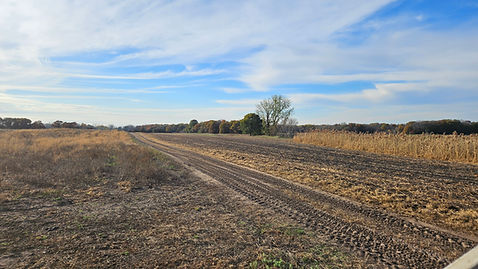 Farm land with blue skies and trees.