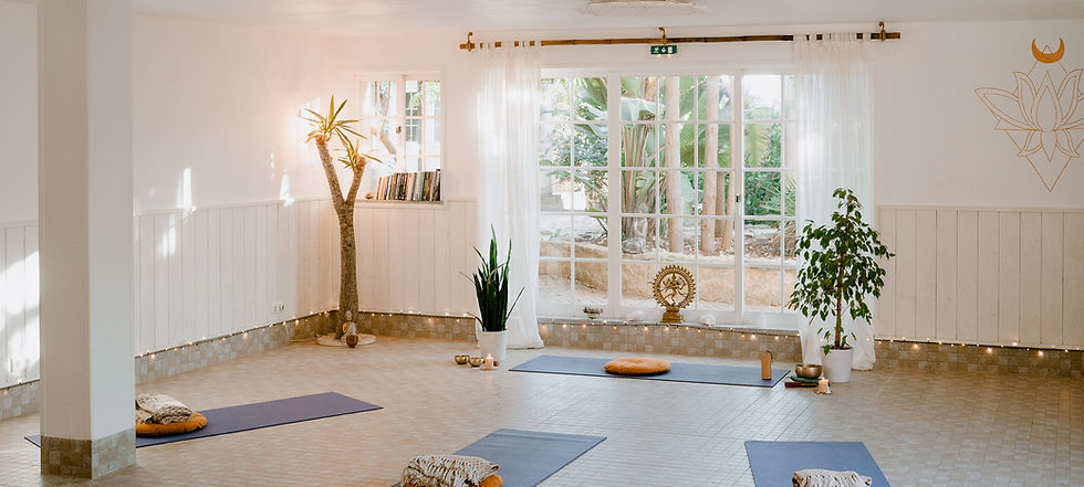Transform to Bliss Yoga & Ayurveda - Image 2
