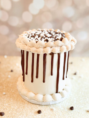 smores cake with marshmallow buttercream