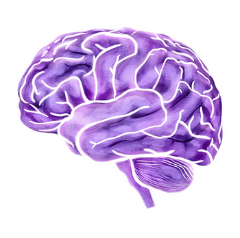 PurpleBrain.png
