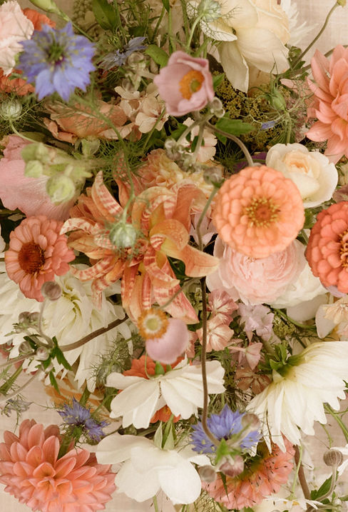 bridgerton preview-15_edited.jpg