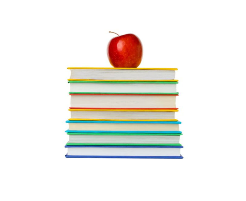 Education curricula differ in what is taught, when it is taught, how students are assessed, and how teachers are expected to teach. Different countries make different choices based on their culture, economy, history, and educational philosophy.