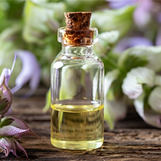 Clary Sage_edited.png