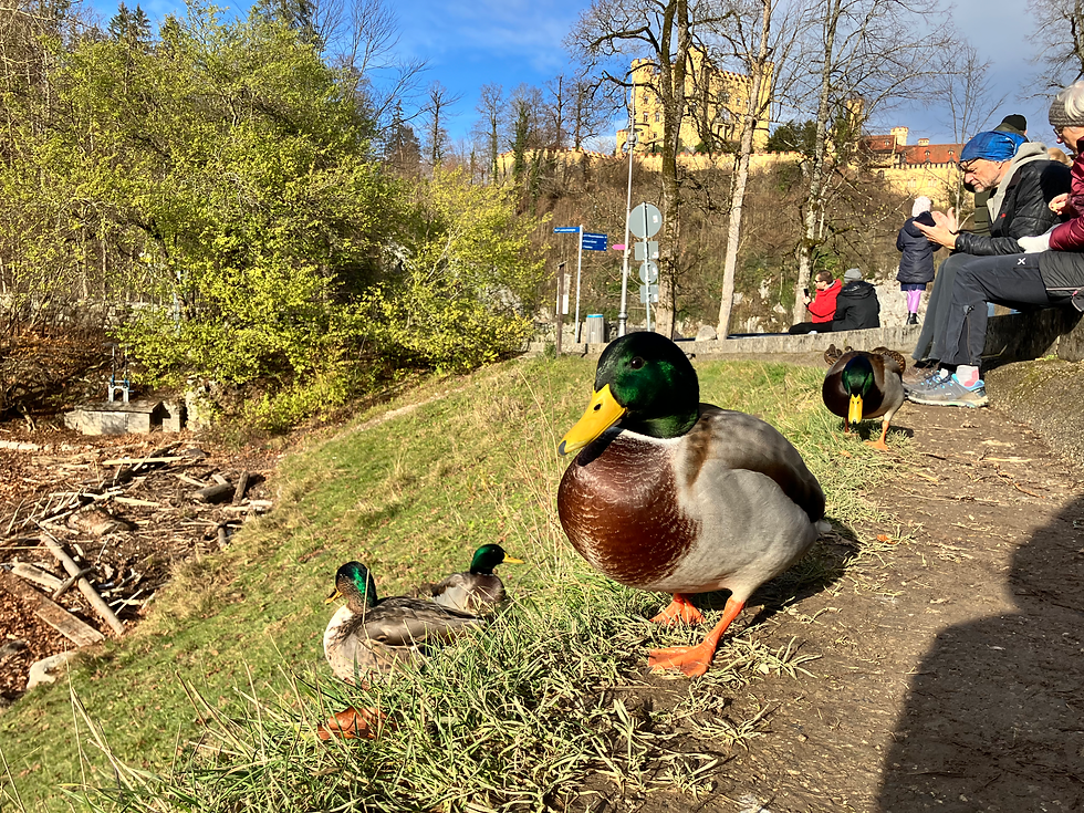 Of course I had to spend time with the locals!