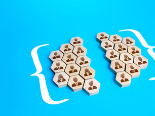 "OS MALDITOS MONOPÓLIOS INTERNOS"