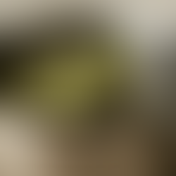 O sapo nunca morre fervido