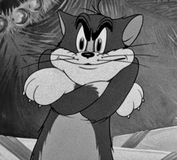 “Hoje há grande demanda de pessoas que fazem o errado parecer certo“