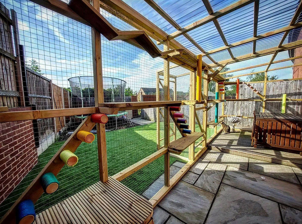 Catio