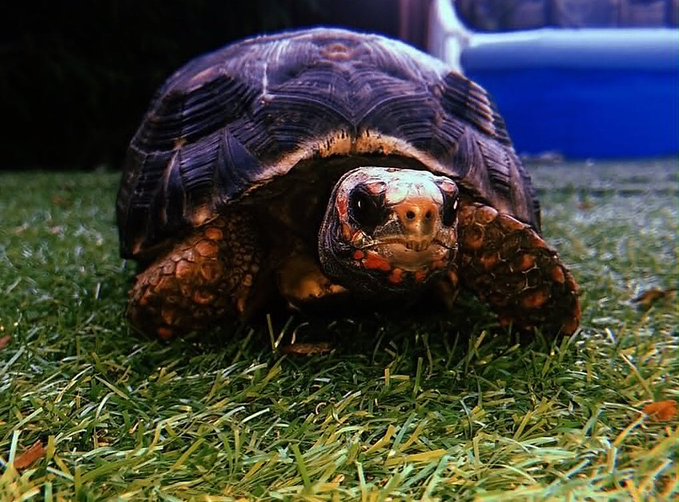 e22a8049-4400-4936-98a1-f9aab9c0d991.jpg