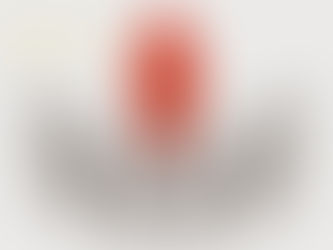 Công ty TNHH một thành viên là gì? Có đặc quyền, nghĩa vụ gì?