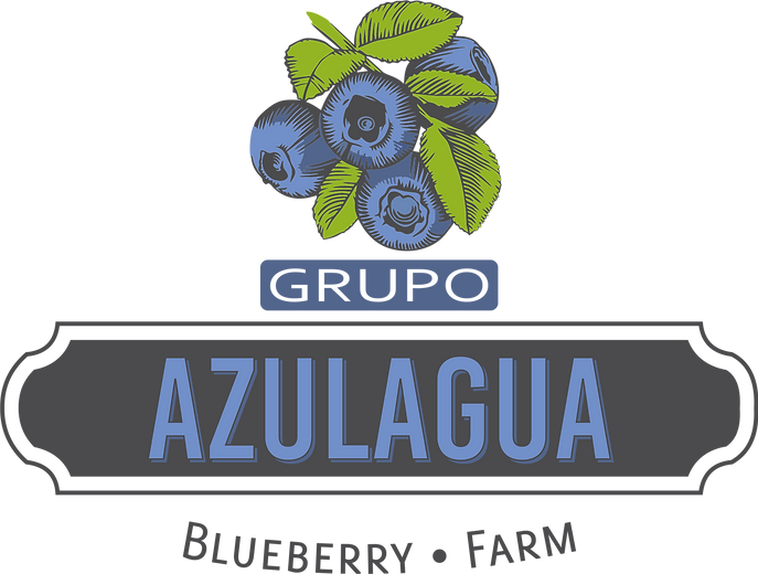 azulagua logo 1a.png