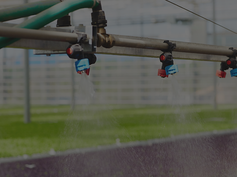 agroindustria.png