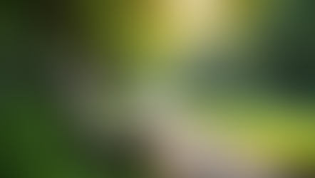 Enhancing Mental Well-Being: Practical Mental Wellness Strategies