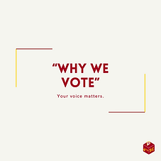 Why We Vote Cover (1).png