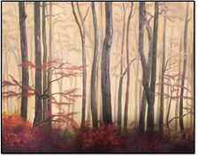 Backlit Woods