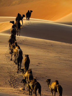 United Arab Emirates