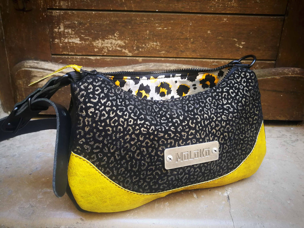 Miniature : ELECTRIK LEO