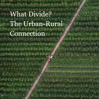 What Divide The Urban-Rural Connection.png